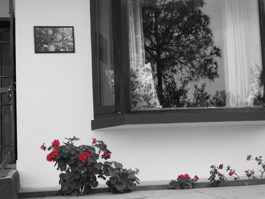 Hostie Sharanam - 2Bhk Pvt Mountain Villa, Majkhali Ranikhet Εξωτερικό φωτογραφία
