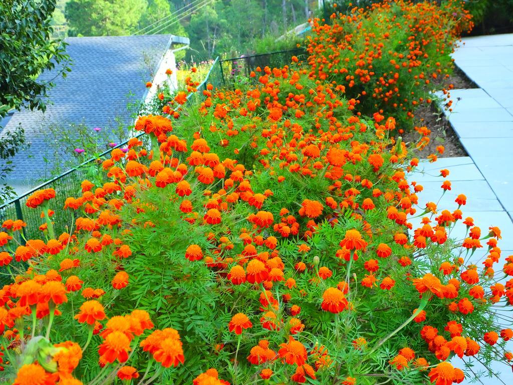 Hostie Sharanam - 2Bhk Pvt Mountain Villa, Majkhali Ranikhet Εξωτερικό φωτογραφία